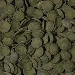 Tropical Green Algae Wafers dla Glonojadów 450g/1000ml