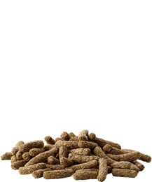 Zestaw Versele-Laga Cavia Complete – pokarm dla świnek morskich 1,75 kg + Tivo gałązki gruszy 100g