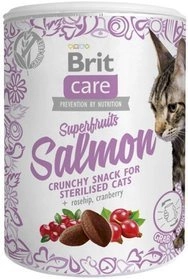 Brit Care Snack Cat Super Fruites Salmon 100 g