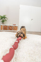 Trixie 3252 Kiełbaski na sznurku winylowe 75cm