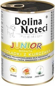 Dolina Noteci Junior Kurczak 400g