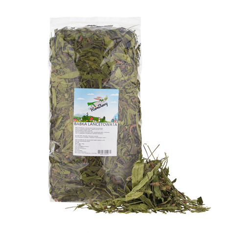 FactoryHerbs Liść Babki Lancetowatej 750g