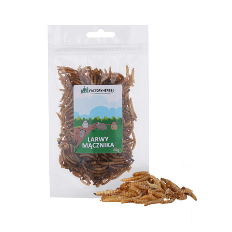 Factory Herbs Larwy Mącznika 20g