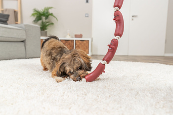 Trixie 3252 Kiełbaski na sznurku winylowe 75cm