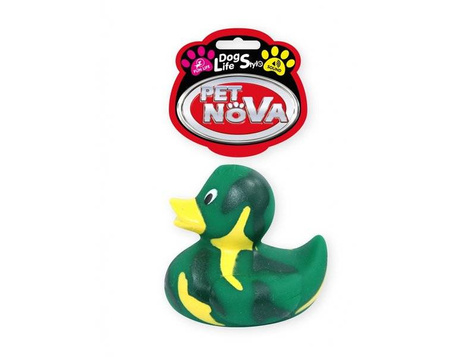 Pet Nova Kaczuszka