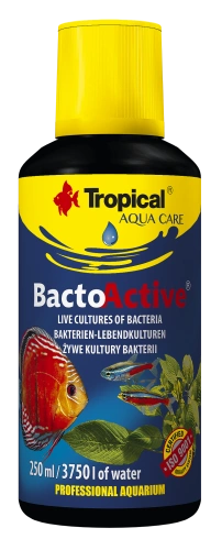 TROPICAL PREPARAT 100ml ANTYCHLOR