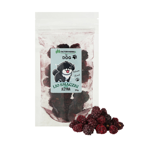 FactoryHerbs for dog Lio smaczki JEŻYNA 20g
