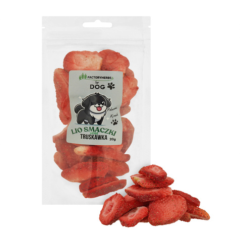 FactoryHerbs for dog Lio smaczki TRUSKAWKA 20g