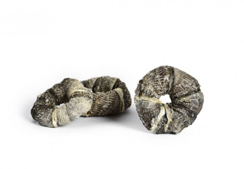 Petmex Skóra dorsza pierścienie 200g