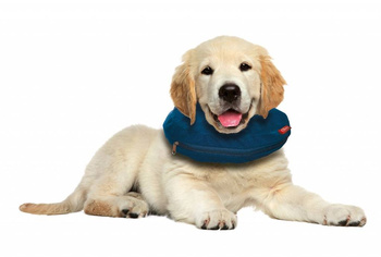 Pet Nova Dmuchany kołnierz ochronny L