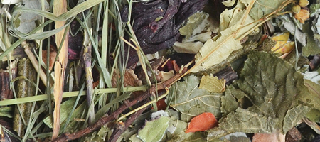 Korona Natury karma dla świnek morskich 750g