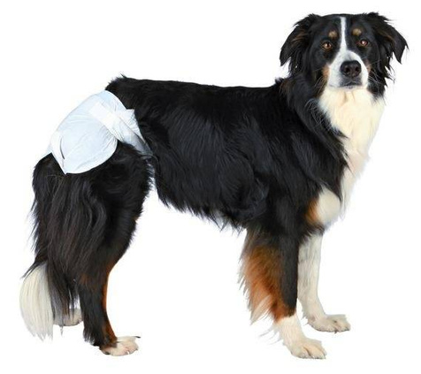 Trixie Pieluchy dla suczek M