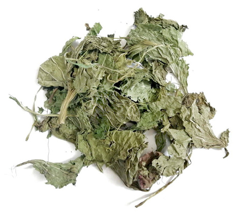 Jarnice Babka Szerokolistna 100 g