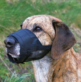 Kaganiec nylonowy z siatką L