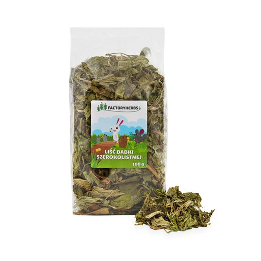 FactoryHerbs Liść babki szerokolistnej 100g