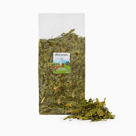 FactoryHerbs Liść Babki Lancetowatej 300g