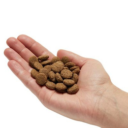 Mera Pure Sensitive Łosoś i ryż  1kg