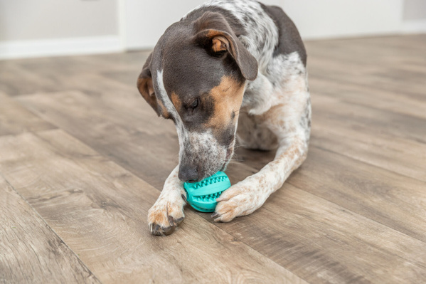 Trixie 3259 DentaFun piłka czyszcząca zęby 5cm