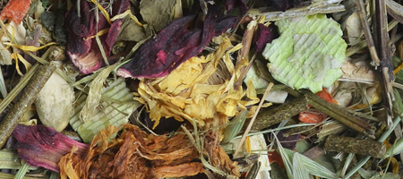 Korona Natury karma dla szynszyli 750g