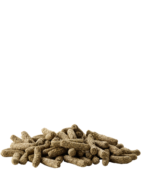 Versele-Laga Cuni Sensitive Complete Pokarm dla królików miniaturowych 1,75kg