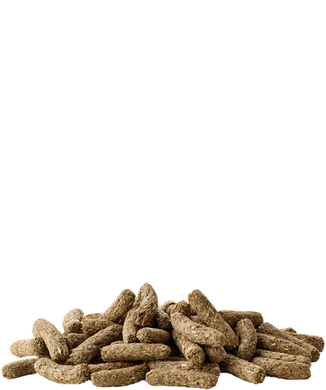 Versele-Laga Cuni Complete Pokarm dla królików miniaturowych 500g