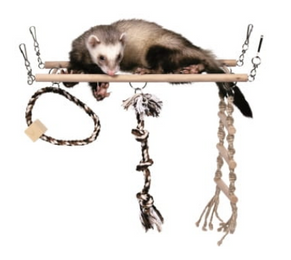 Trixie Huśtawka dla fretki 35x15cm