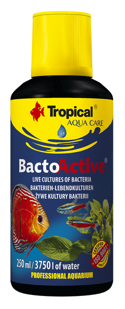 TROPICAL PREPARAT 100ml BACTO-ACTIVE