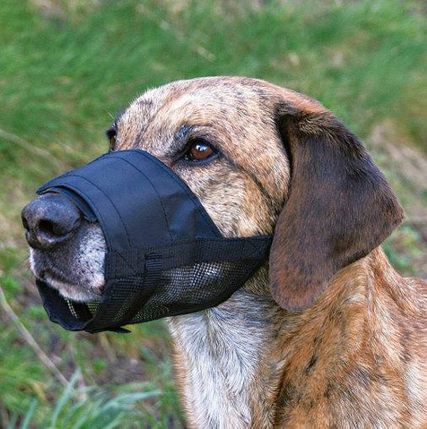 Kaganiec nylonowy z siatką S-M