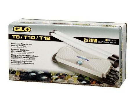 Hagen Zasilacz Elektroniczny 2x20W GLO T8