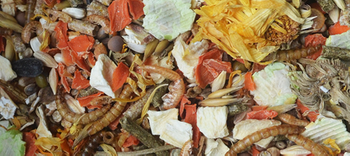 Korona Natury karma dla chomików 750g