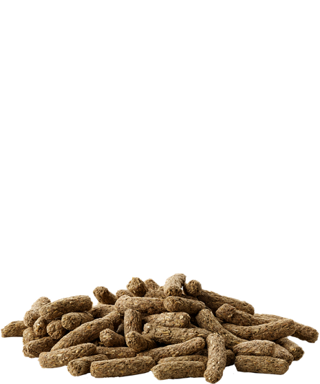 Zestaw Versele-Laga Cavia Complete – pokarm dla świnek morskich 1,75 kg + Tivo gałązki gruszy 100g